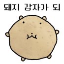 포포픽스 이미지