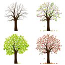 퍼니조이 이미지