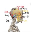 바른에스테틱