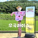 라이스컴퍼니 | 대구근교아이랑 고령가볼만한곳 정미소체험 우곡라이스 허수아비만들기