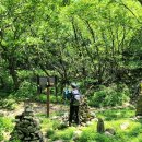 나무쉼터 이미지