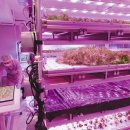 지산농장 이미지