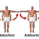 엄지 손가락의 수근중수골 관절(carpometacarpal joint of the thumb) 이미지