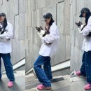 핑크핑크 네이버블로그