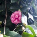 남열보건진료소 이미지