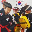 드림 합기도 이미지