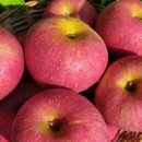 현대농원 이미지