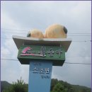 교학초등학교 이미지