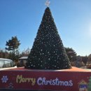 유림공원공연장 | 대전 크리스마스 축제 2025 유성온천 크리스마스 축제 기본 정보와 방문 후기