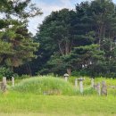 숙안공주묘 이미지