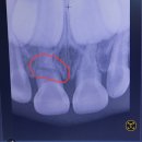 서울참어린이치과의원 이미지