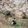 올라(ollah) 네이버블로그