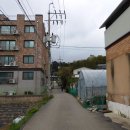 부용산 이미지