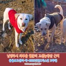 고센 농장 이미지