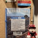 시온농장 | 🇲🇽 [과달라하라 3일차] 필수 코스! 데낄라 마을 투어 완벽 정리