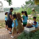 송해초교 이미지