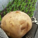 오리골농장 이미지