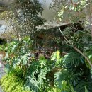 서귀포자연휴양림 이미지