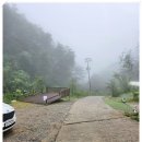 266 | 가을 끝자락에 찾은 홍천 캠핑장 알지캠프266 리얼 후기