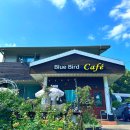 cafe oma(카페 오마) | 인천논현동카페 블루버드 아이랑가볼만한곳