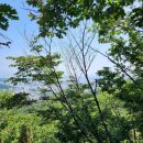 사기점 | 앞뒤가 다른 산, 관악산 등산 후기 (보성사기점&gt;연주대&gt;낙성대역)