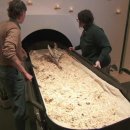 Human composting: The rising interest in natural burial (CBS News) 이미지
