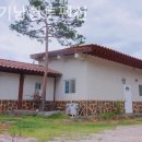 비둘기낭황토펜션