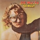 [LP] Joe Walsh - So What 중고LP 판매합니다. 이미지