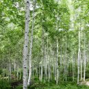 청풍스테이 바다 이미지