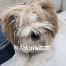 베리떼 동물병원 이미지