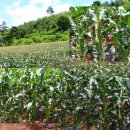 옥식농장 이미지