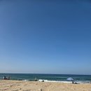 화이트하우스(솔비치) | 동해망상오토캠핑장 허허바다 101호 예약 성공 꿀팁