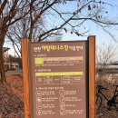 야탑테니스장 이미지