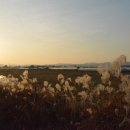 유기농라이프 이미지