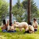 알파카월드 이미지