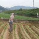 호구농장 이미지