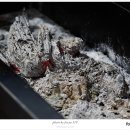 서신당구장 이미지