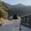 쿠잉풀빌라앤스파펜션
