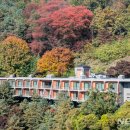 가을이야기치킨 이미지