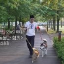 부일동물병원 이미지