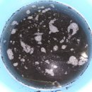 현신5길 이미지