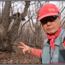 백두에너지 이미지