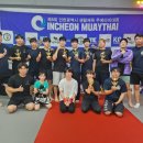 폭스 무에타이 이미지