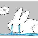 지엘시티 호텔 네이버블로그