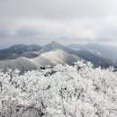 1월 10일(수) 충북/영동 겨울 명산 민주지산 산행 안내 이미지