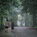 동의정부-남별내 이미지