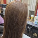 에스헤어 이미지