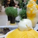 팜앤키친라비브 이미지