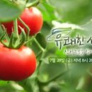 김인성농장 이미지