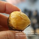 숲속의명품마을 이미지